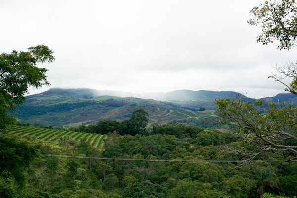 Cau Dat Landscape